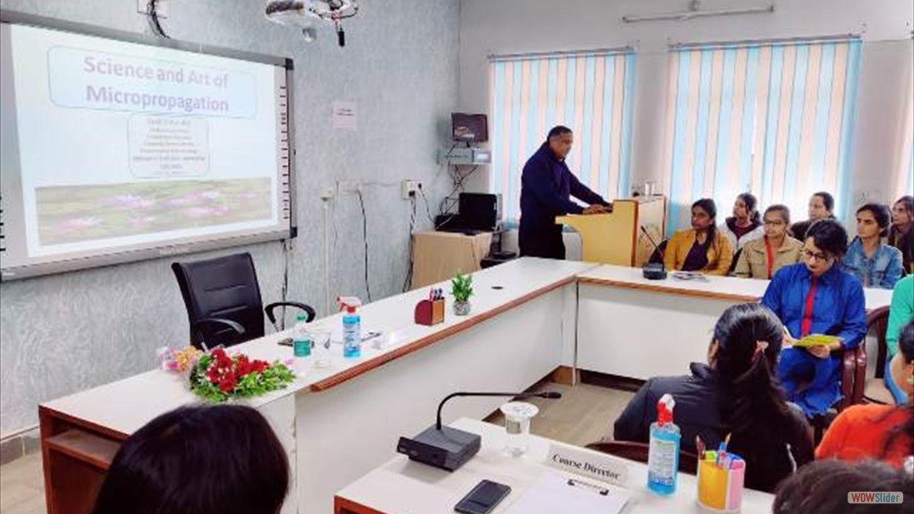 javascript slideshow